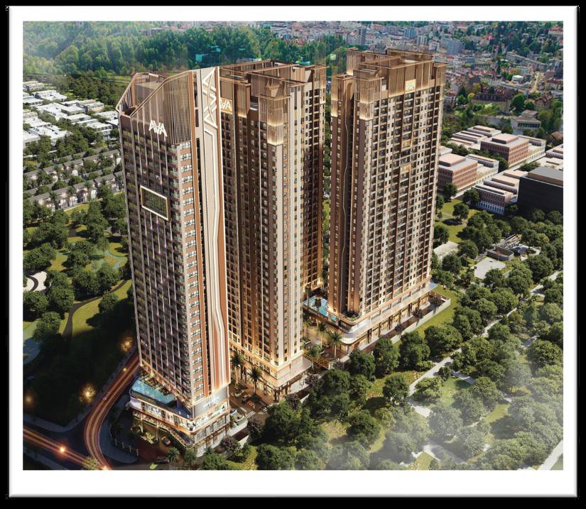 Tổng thể dự án